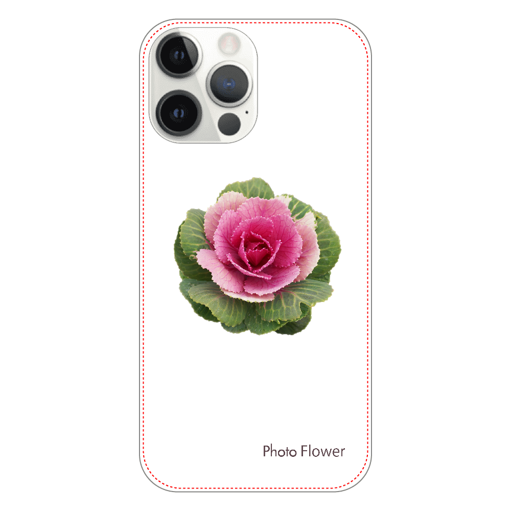 ハボタンの花　丸葉　レッド iPhone12 ProMax（透明）