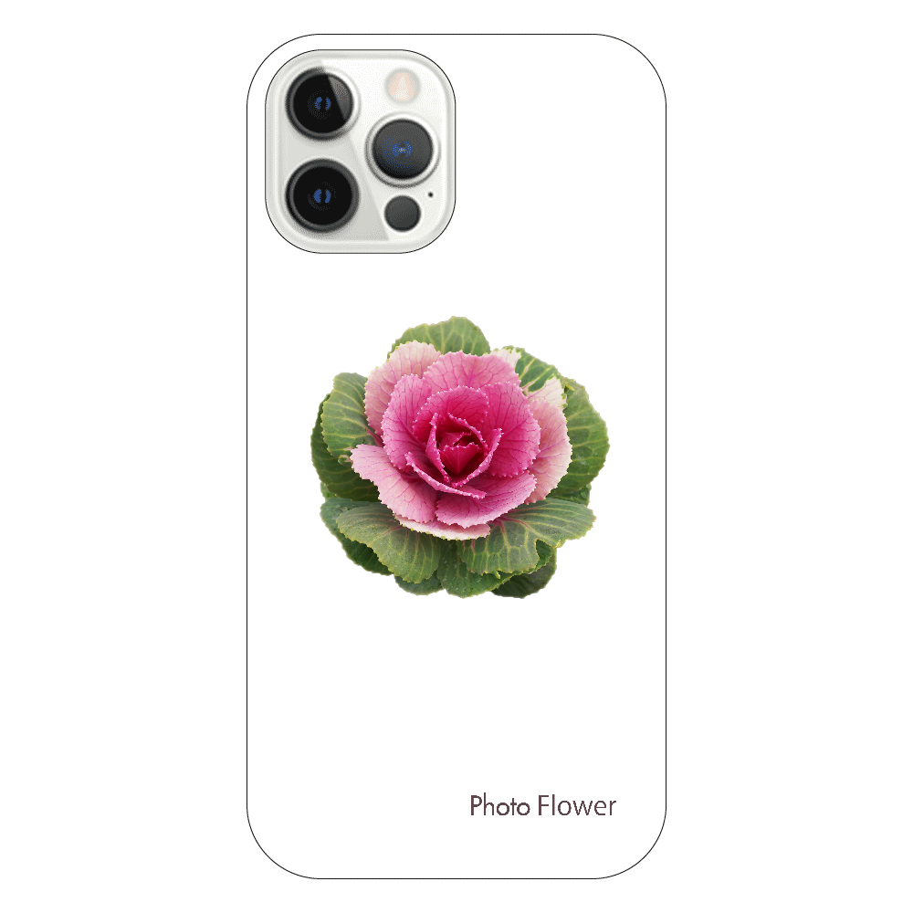 ハボタンの花　丸葉　レッド iPhone12 Pro(透明）