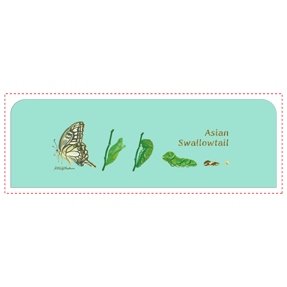 Asian Swallowtail LSG08(ペンケース)