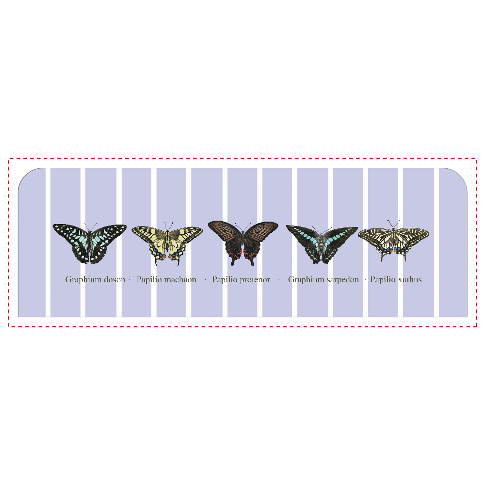 5種のアゲハ蝶 LSG08(ペンケース)