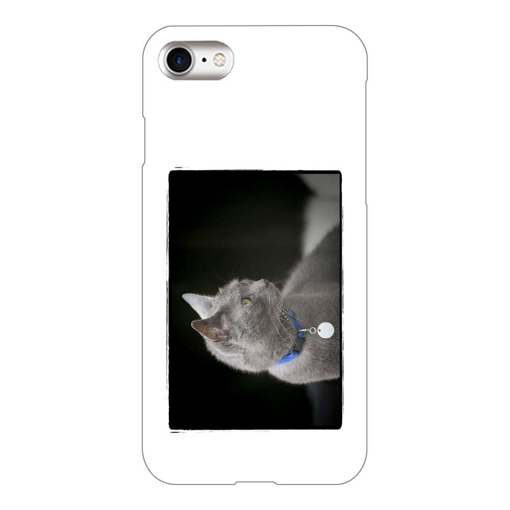 ネコ/ロシアンブルーiphoneケース/スマホケース/ラッキーグッズ/アニマル/動物/i phone8/猫グッズ/ねこ iPhone8(透明)