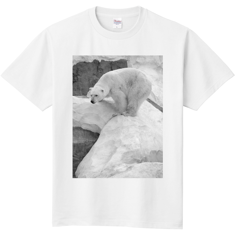 デザインTシャツ/白熊グラフィックTシャツ/写真Tシャツ/かっこいい/白熊/アニマル/動物/北極熊/カジュアル/サイズ豊富