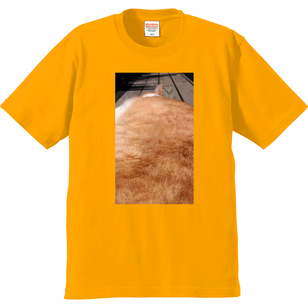 猫のもふもふに癒されるTシャツ