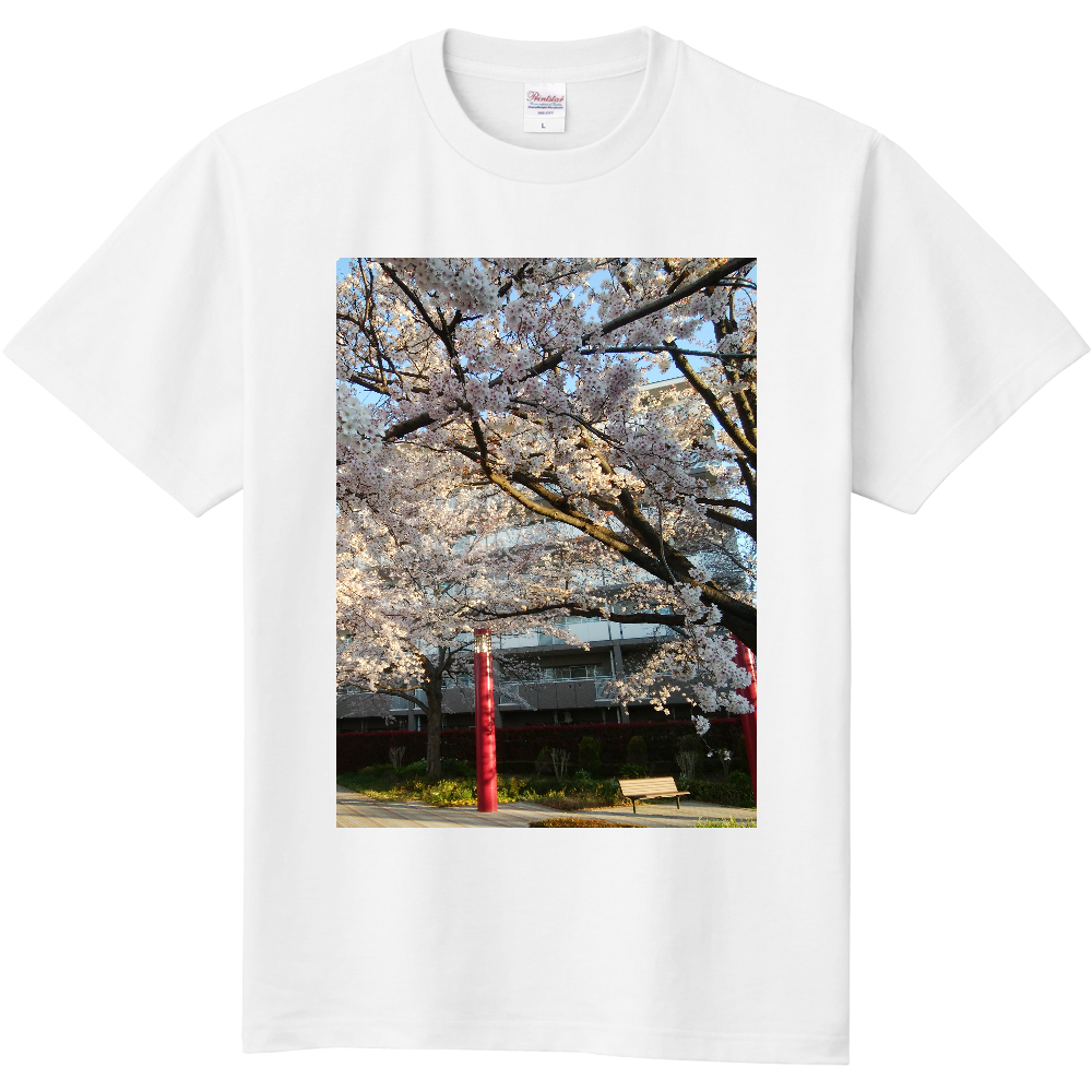 桜2　Ｔシャツ