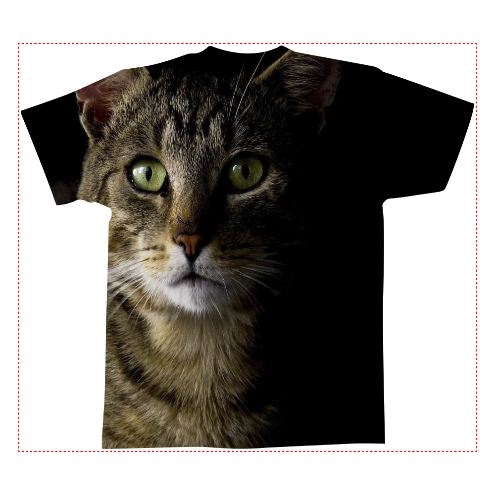 おもしろTシャツ BIG CAT メンズ レディース 全面印刷全面インクジェットTシャツ(M)2