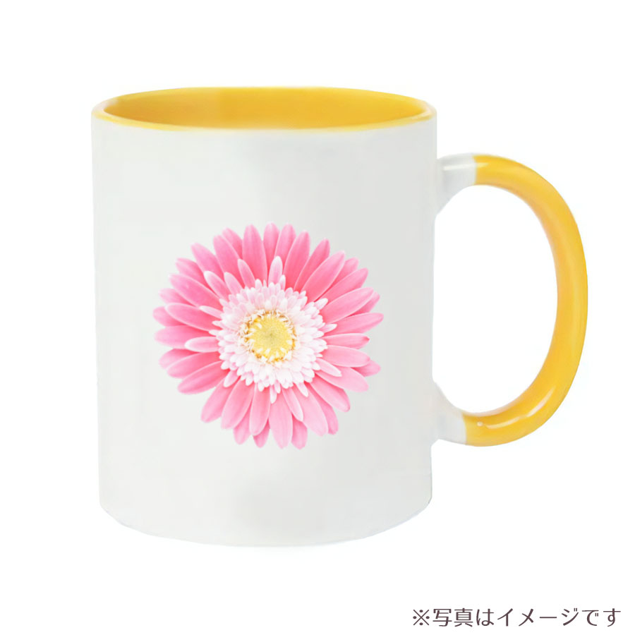 マグカップ　ガーベラの花　ピンク 2トーンマグカップ
