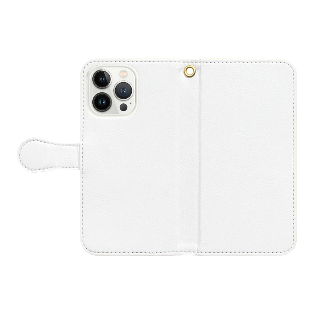 iPhone13 Pro with Notebook Belt