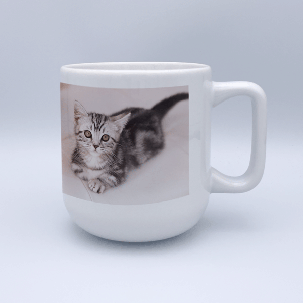 陶器マグストレート　ラウンドボトム