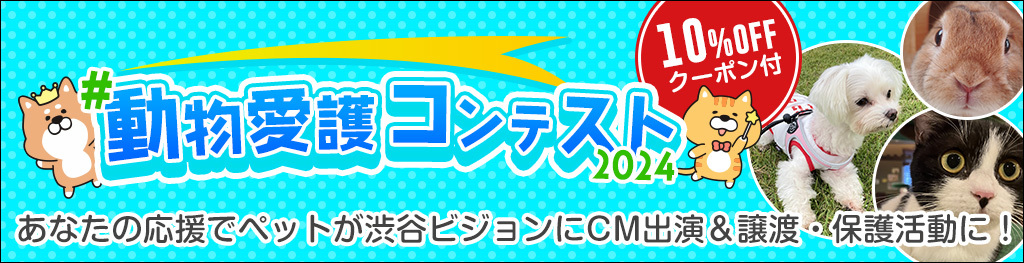 動物愛護コンテスト2024
