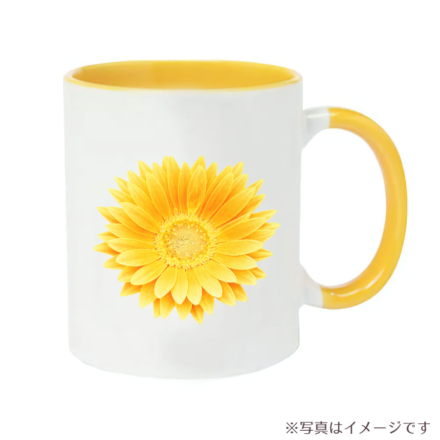 マグカップ　ガーベラの花　イエロー 2トーンマグカップ