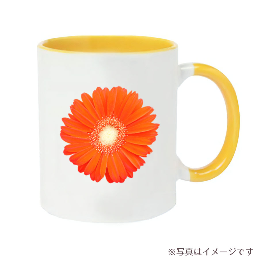 マグカップ　ガーベラの花　オレンジ 2トーンマグカップ