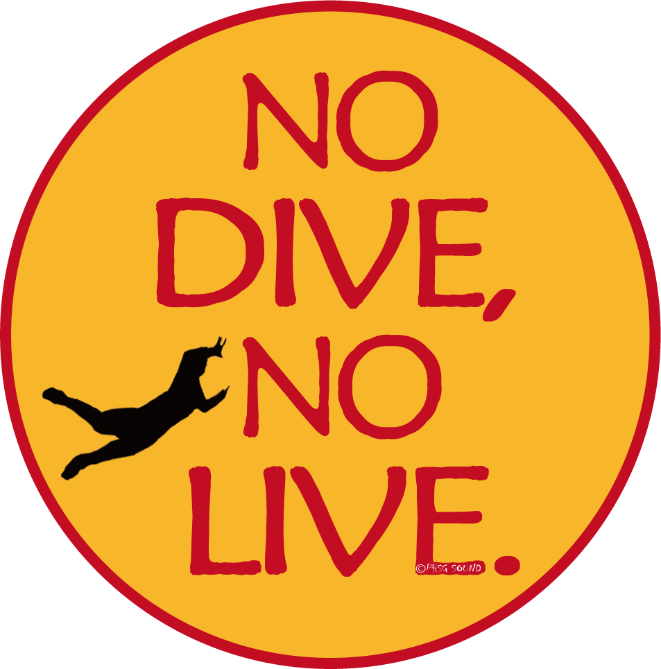 God Only Knows 神のみぞ知る パーカー(デラックス ブラック)│PHSG SOUND