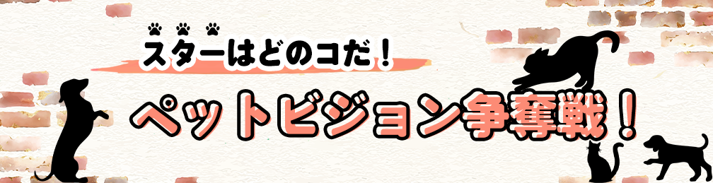 スターはどのコだ！ペットビジョン争奪戦！